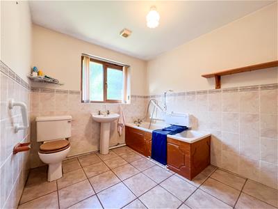 Picture 11